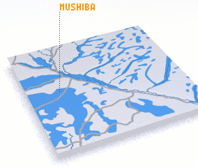 3d view of Mushiba