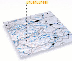 3d view of Valea Lupşei