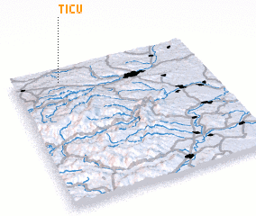 3d view of Ticu