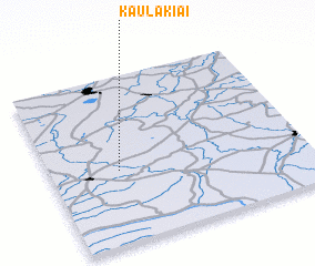 3d view of Kaulakiai