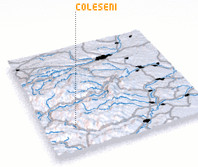 3d view of Coleşeni