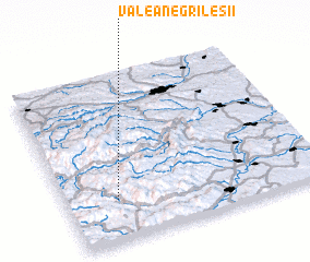 3d view of Valea Negrilesii