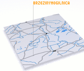 3d view of Brzeziny Mogilnica