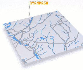 3d view of Nyampasa