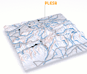 3d view of Pleşa