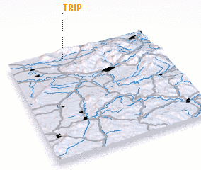3d view of Trip