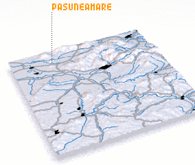 3d view of Păşunea Mare
