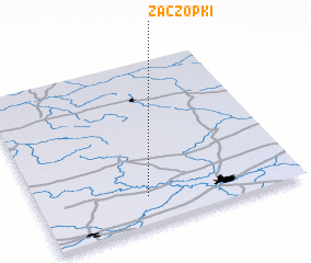 3d view of Zaczopki