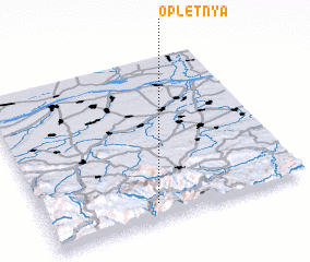 3d view of Opletnya
