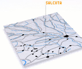 3d view of Sălcuţa