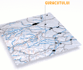 3d view of Gura Cuţului