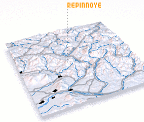 3d view of Repinnoye