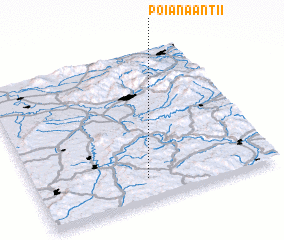 3d view of Poiana Antii