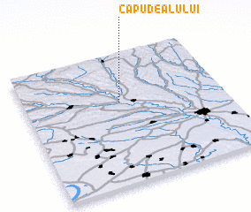 3d view of Capu Dealului