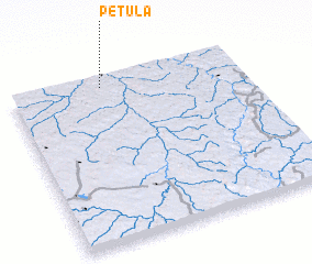 3d view of Petula