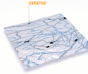 3d view of Senatov