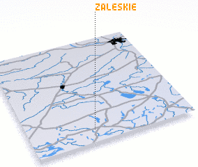 3d view of Zaleskie