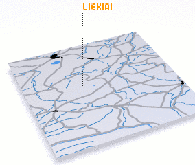 3d view of Liekiai