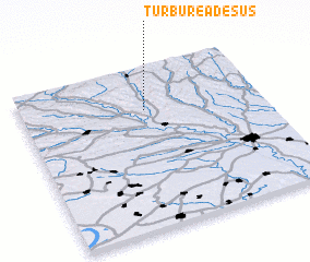 3d view of Turburea de Sus