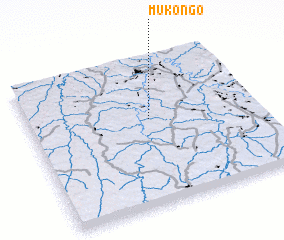 3d view of Mukongo