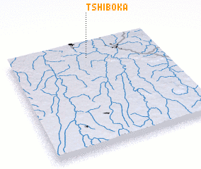 3d view of Tshiboka