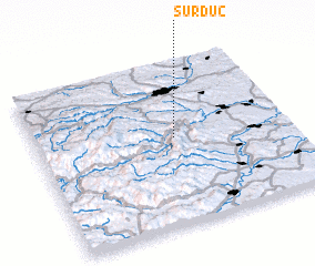 3d view of Surduc