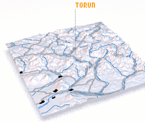 3d view of Torunʼ