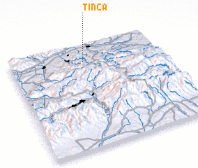 3d view of Tinca