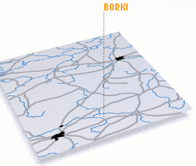 3d view of Borki