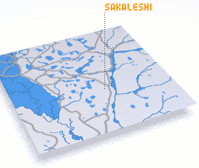 3d view of Sakaleshi