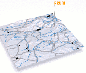 3d view of Pruni