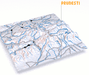 3d view of Pruneşti