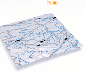 3d view of Tynuv