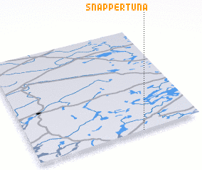 3d view of Snappertuna