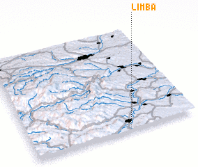 3d view of Limba