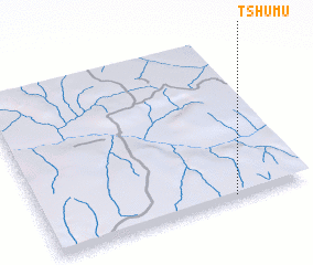 3d view of Tshumu