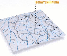 3d view of Bena-Tshimpuma