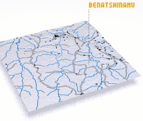 3d view of Bena-Tshinamu