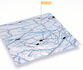 3d view of Morgi