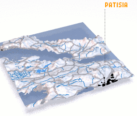 3d view of Patísia