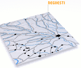 3d view of Negoeşti