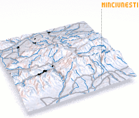 3d view of Minciuneşti