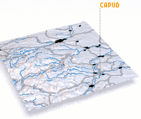 3d view of Căpud