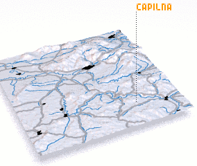 3d view of Căpîlna