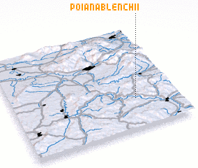 3d view of Poiana Blenchii