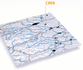 3d view of Cara