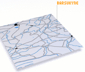 3d view of Barsukynė