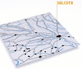 3d view of Sălcuţa