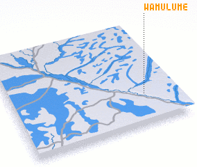 3d view of Wamulume