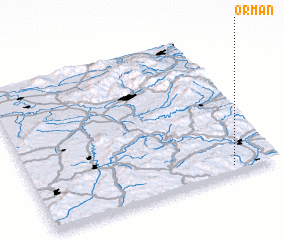 3d view of Orman